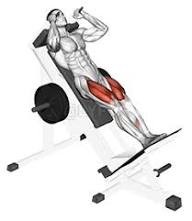 Подъём на носки в гак-машине